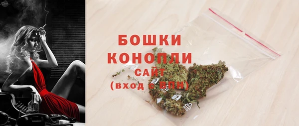 шишки Аркадак
