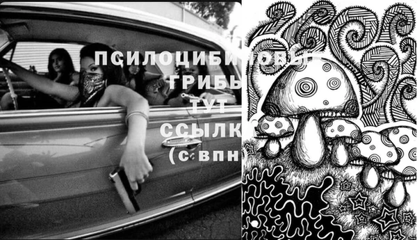 a pvp Арсеньев