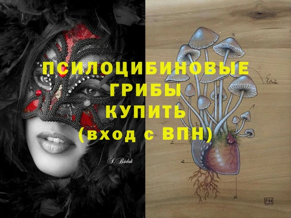 a pvp Арсеньев