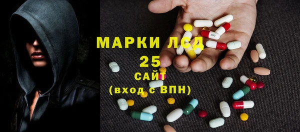 шишки Аркадак