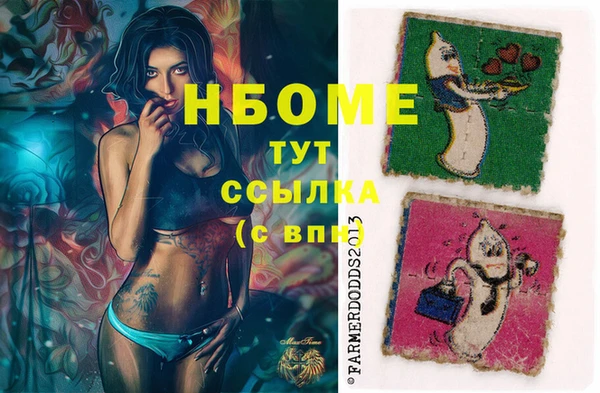 шишки Аркадак